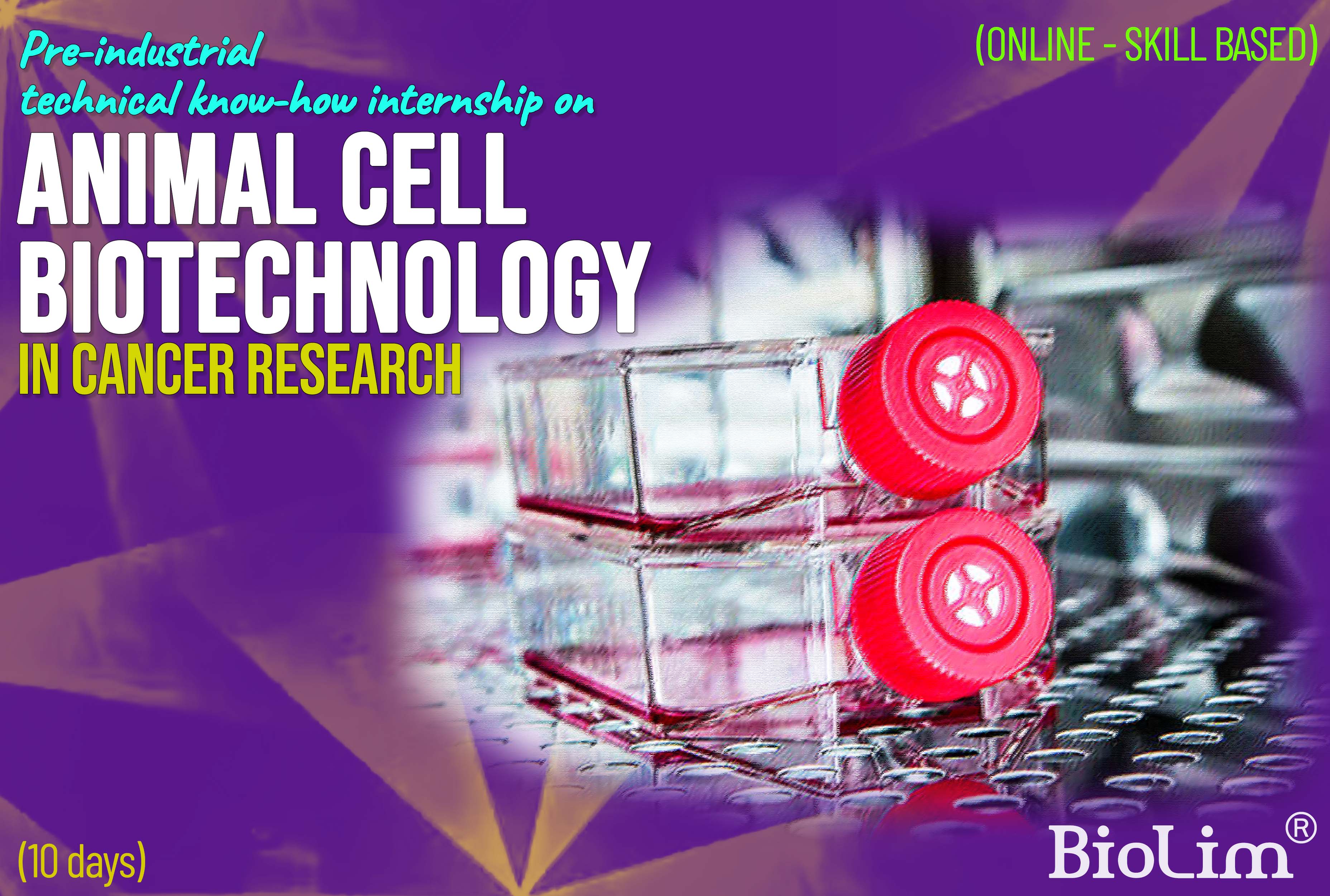 JRF role internships