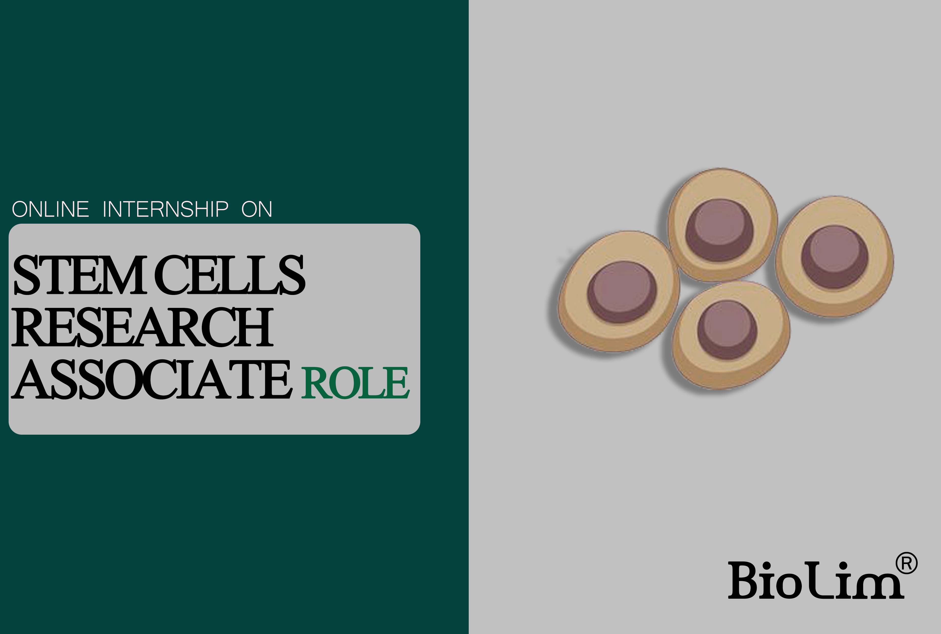 Internship on stem cells research associate job role