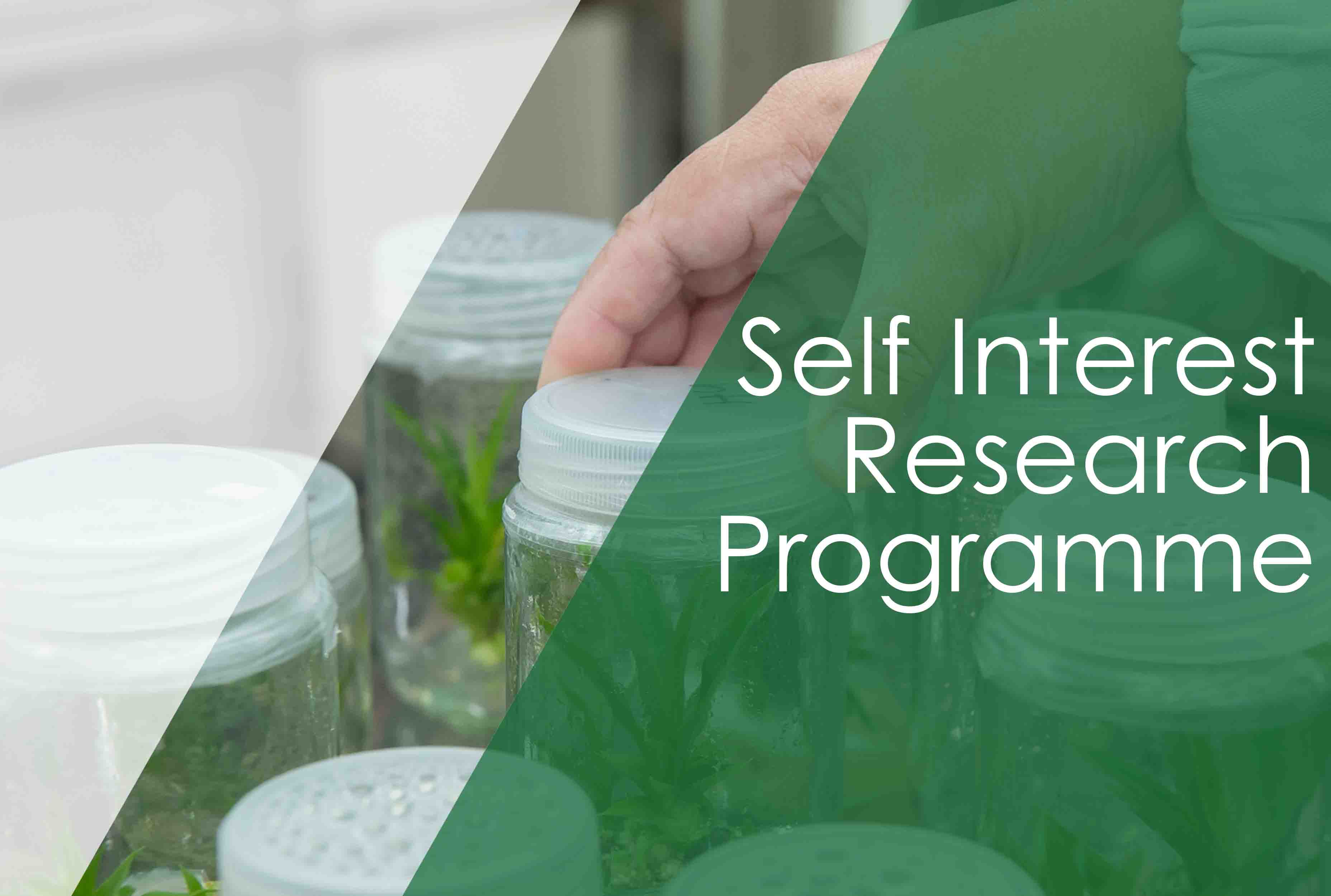 Self interest research programme