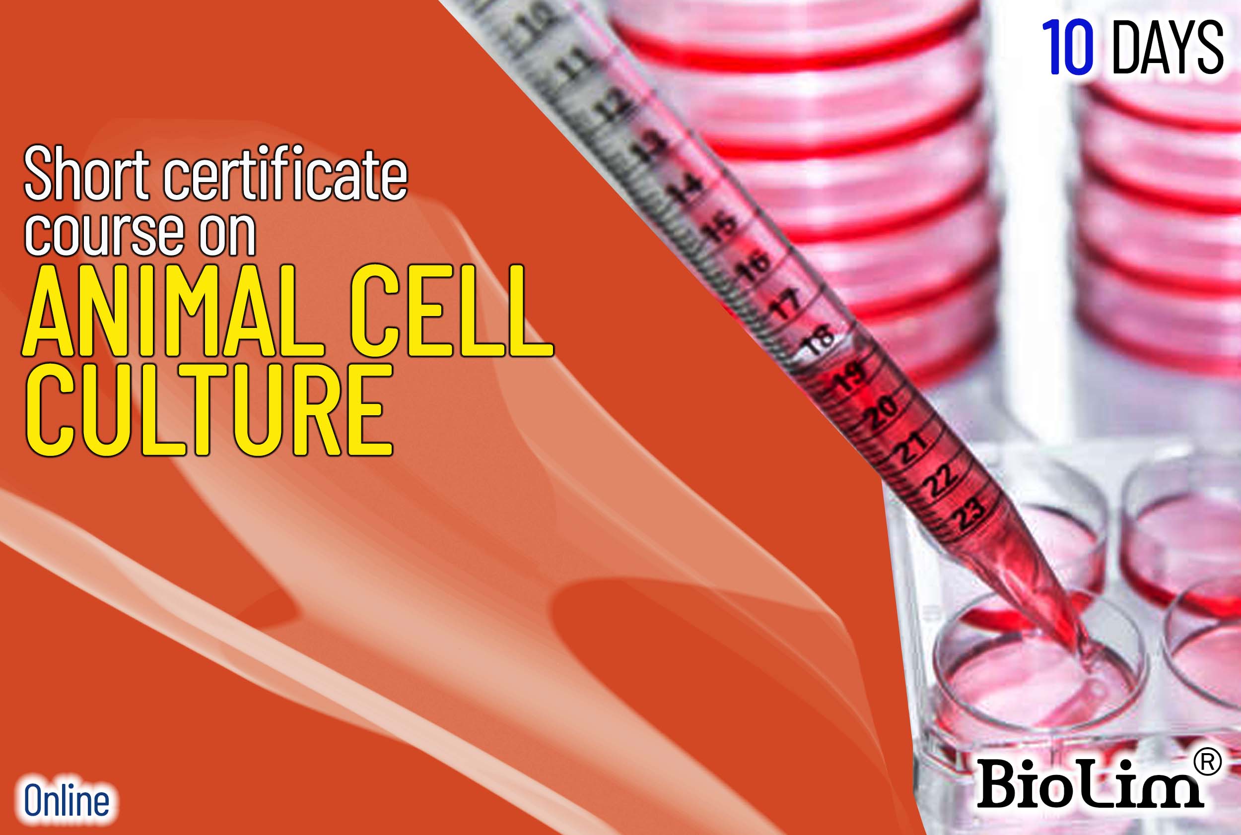 Short certificate course on animal cell culture