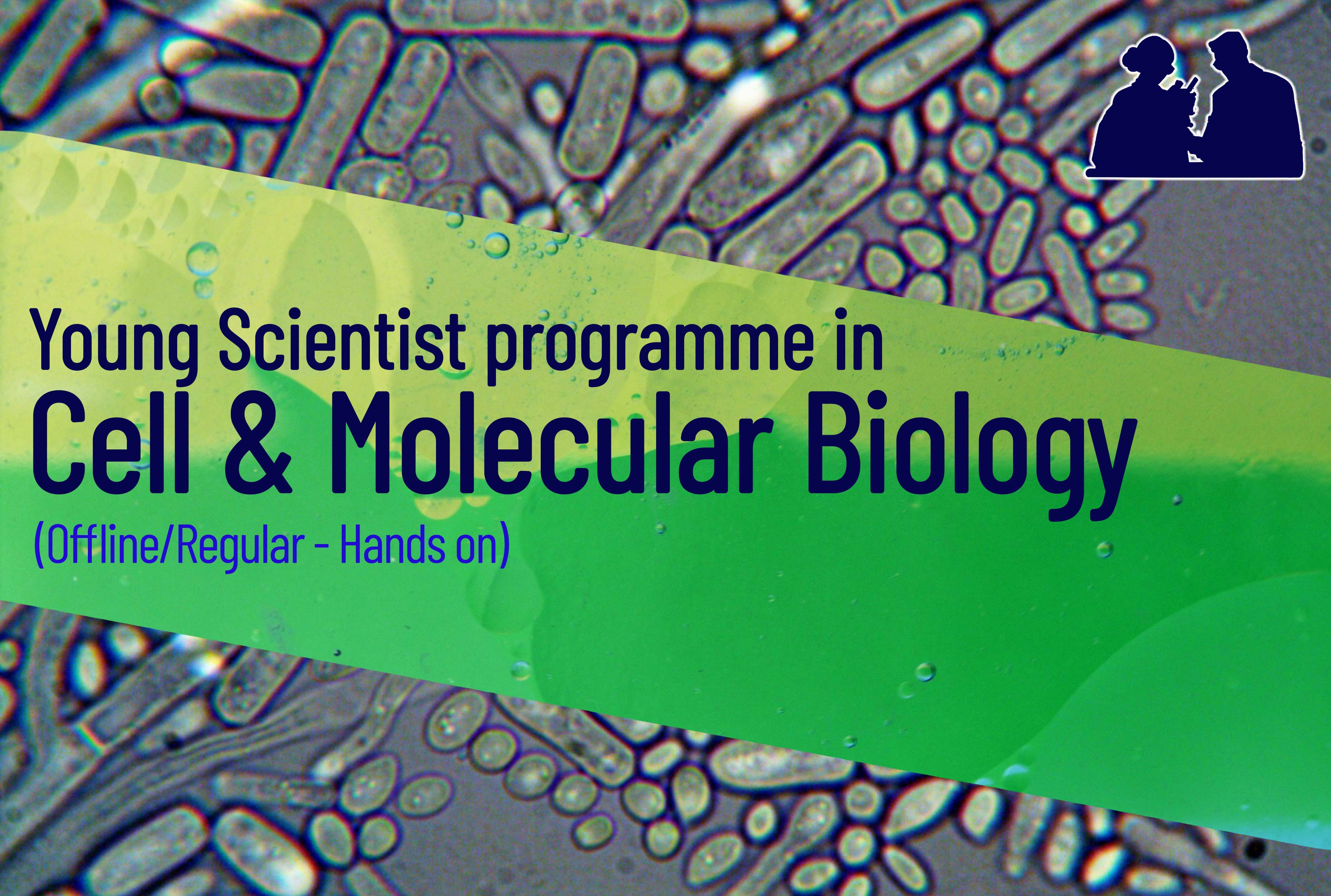 Young scientist programme in cell and molecular biology